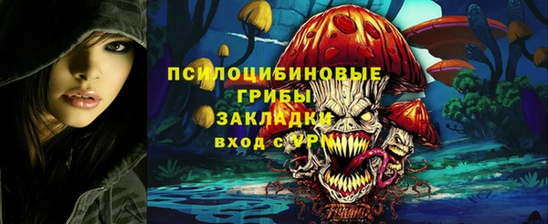 ешки Богданович
