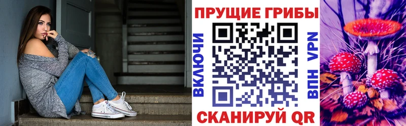 купить наркотики цена  Северск  Псилоцибиновые грибы Psilocybine cubensis 
