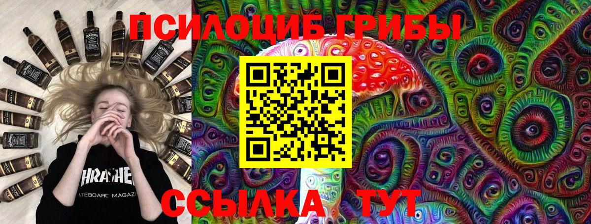Галлюциногенные грибы Psilocybine cubensis Северск