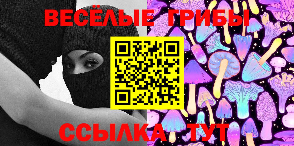 Северск  где продают наркотики  Псилоцибиновые грибы MAGIC MUSHROOMS  Вход с VPN  Галлюциногенные грибы прущие грибы 